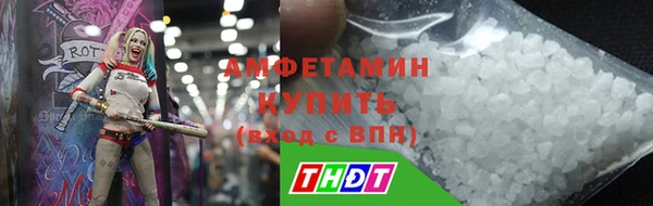 гидра Тында