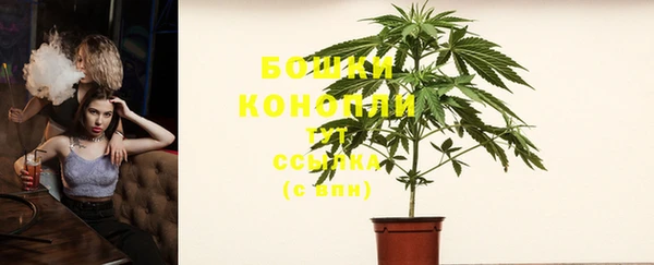 дурь Богданович