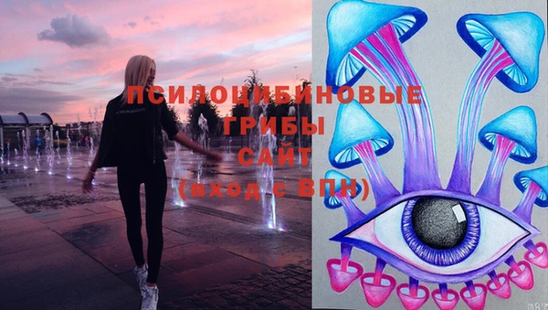 винт Богородицк