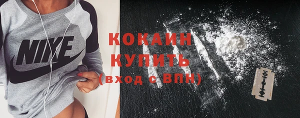 дмт Белокуриха