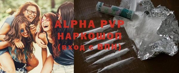 дмт Белокуриха