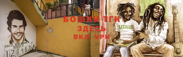 дурь Богданович
