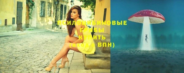 дмт Белокуриха