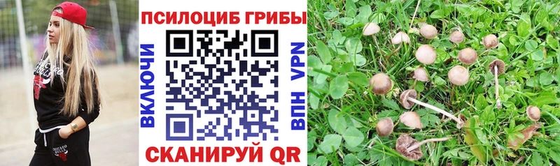 нарко площадка как зайти  Краснокаменск  Псилоцибиновые грибы мухоморы  закладки 